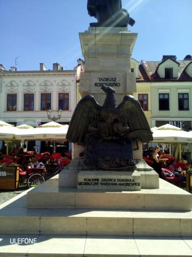 erasmus_II_31